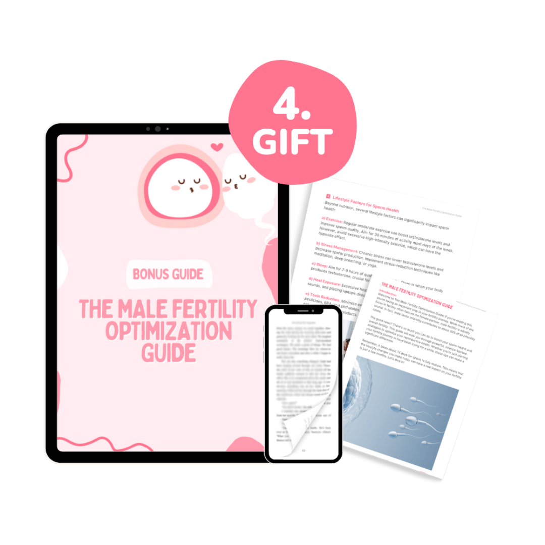 Boost Fertility Naturally - 12 Weeks Guide with #5 Free Bonus